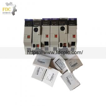 1756-RM2 datasheet